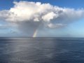 14- Dominica